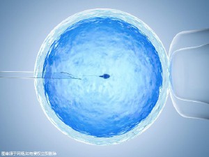 实验室 Fig.01