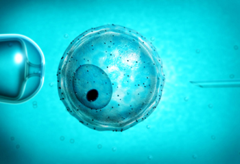 专家
